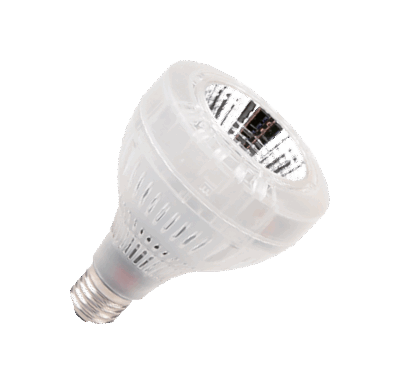 PAR30 LED COB